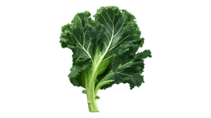 Kale