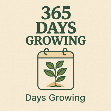 365 Days