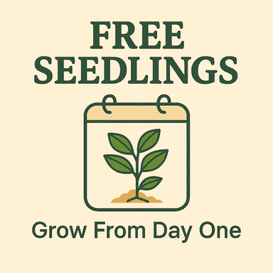 Free Seedlings